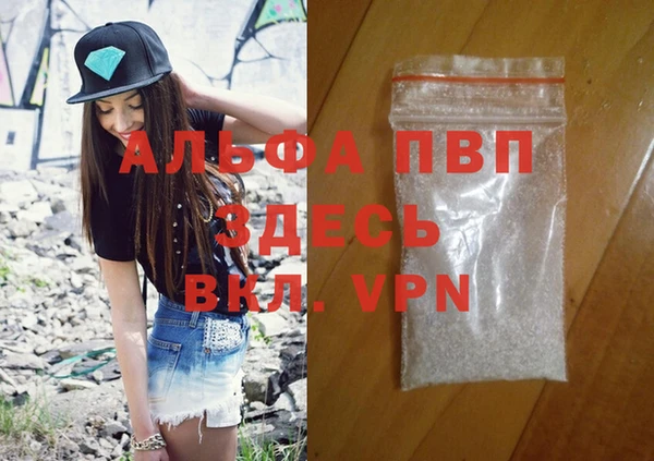 крисы Инта