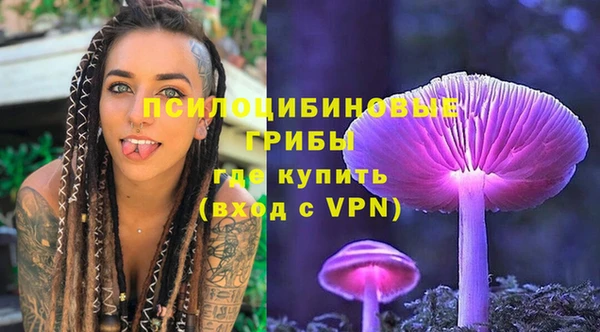 соль курить ск Каменногорск