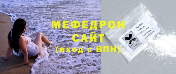 мдпв Инсар