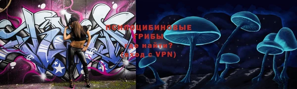 соль курить ск Каменногорск